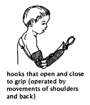 Hooks that open and close to grip.