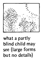 What a partly blind child may see.