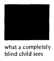 What a completely blind child sees.