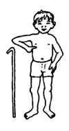 The stick should be thin and light and tall to reach half way between the child's waist and shoulders.