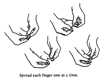 Fingers - spread