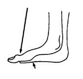 The sole can end at the base of the toes.