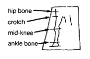Mark the height of the hip bone, crotch, mid-knee and ankle bone.