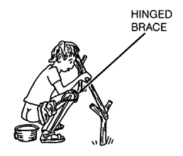 Hinged brace