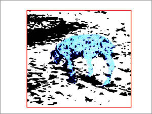 ダルメシアンの絵