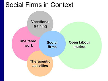 Slide of Social Firms in Context