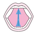 舌のストレッチ2